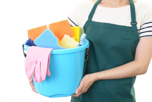 Professional oven cleaning service in a Lambeth kitchen
