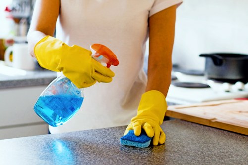 Professional upholstery cleaning for a sofa in a Lambeth home