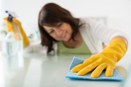 Deep cleaning oven racks and trays in a local Lambeth home