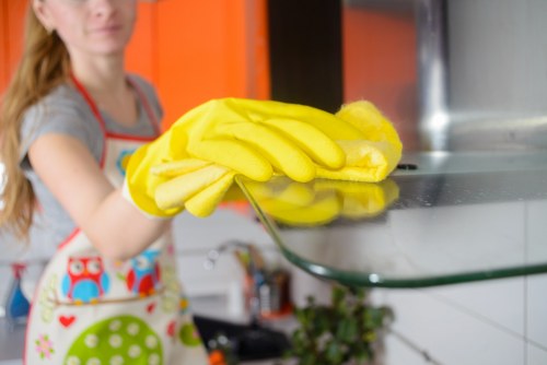 Customer support handling a final oven cleaning complaint