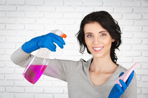 Domestic cleaning service for kitchens and bathrooms in Lambeth
