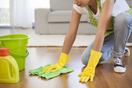 Deep carpet cleaning equipment used in a Lambeth property